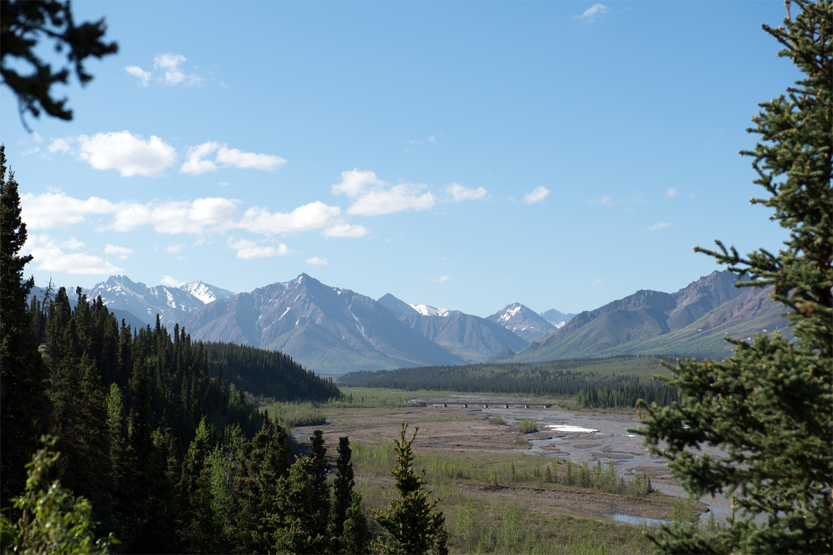 Denali River