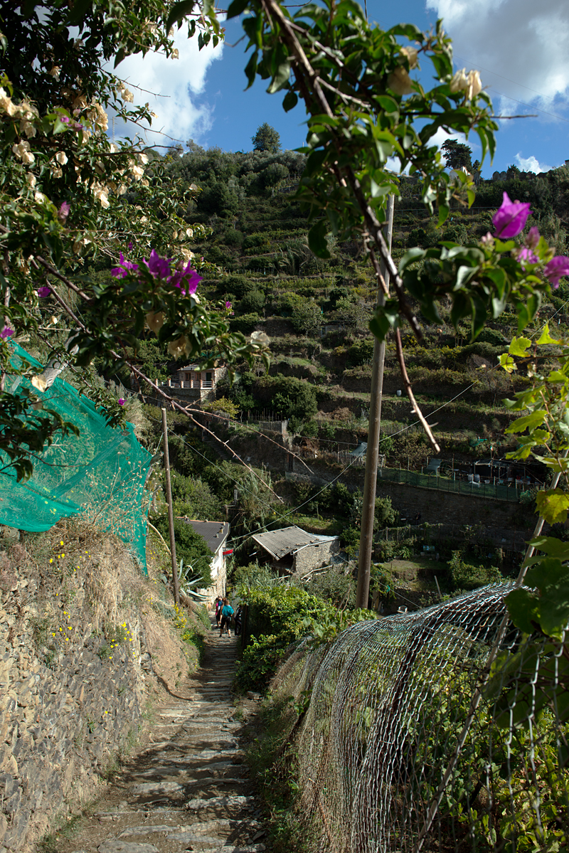 Cinqueterre steep
