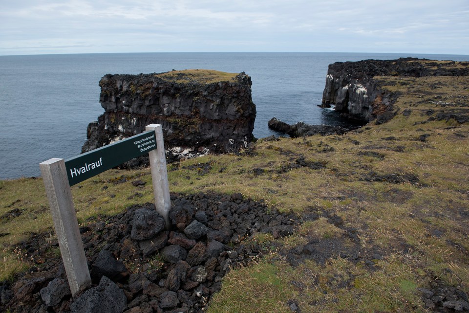 b-snaeff-hvalrauf-no-puffins