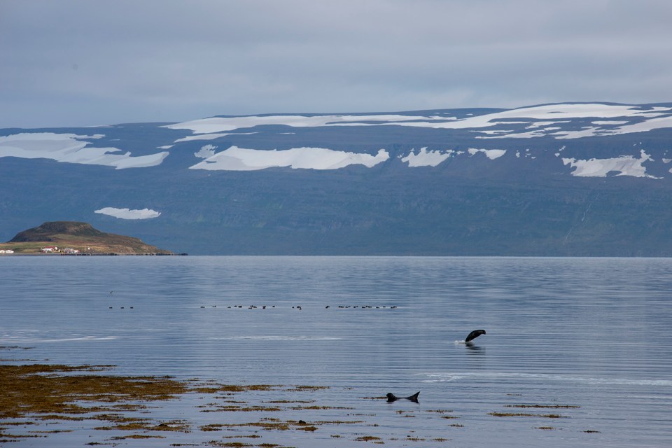 e-t-returning-drive-seal-jump