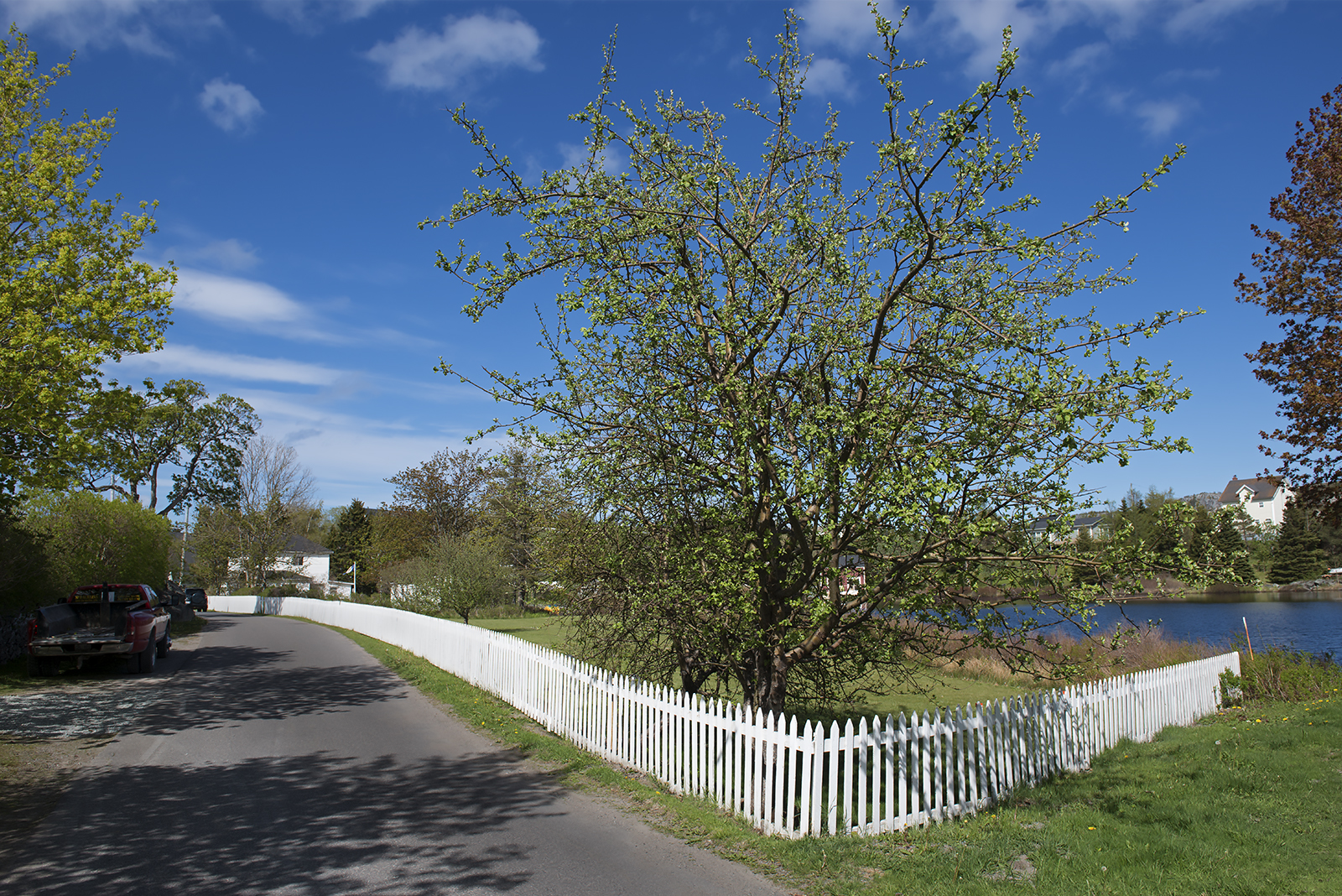 20170615 Brigus Fence