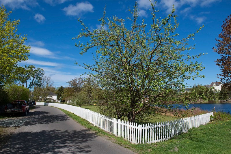 20170615 Brigus Fence