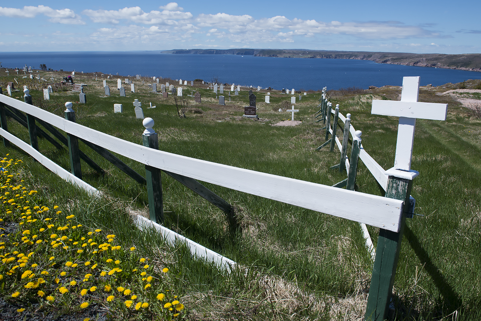 20170616 Dildo Cemetery