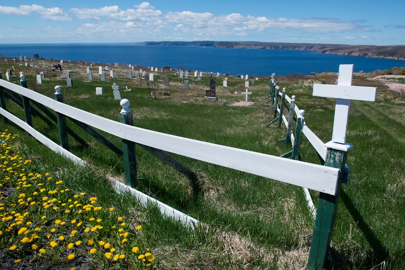 20170616 Dildo Cemetery