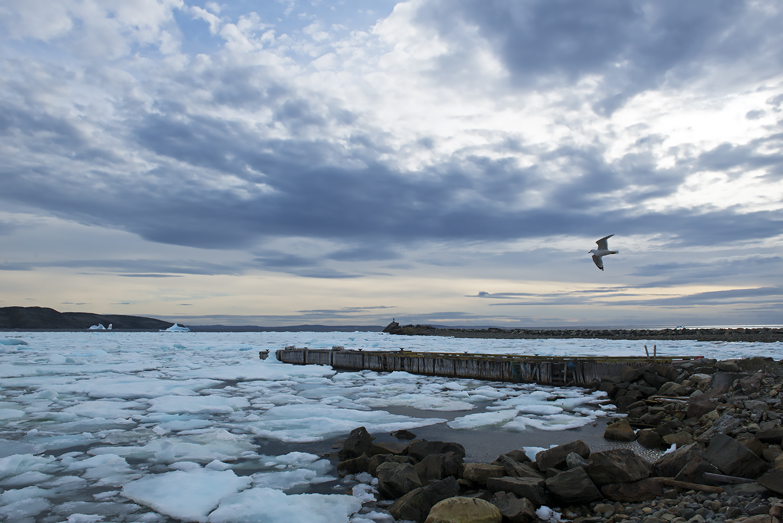 20170617 Bonavista more ice