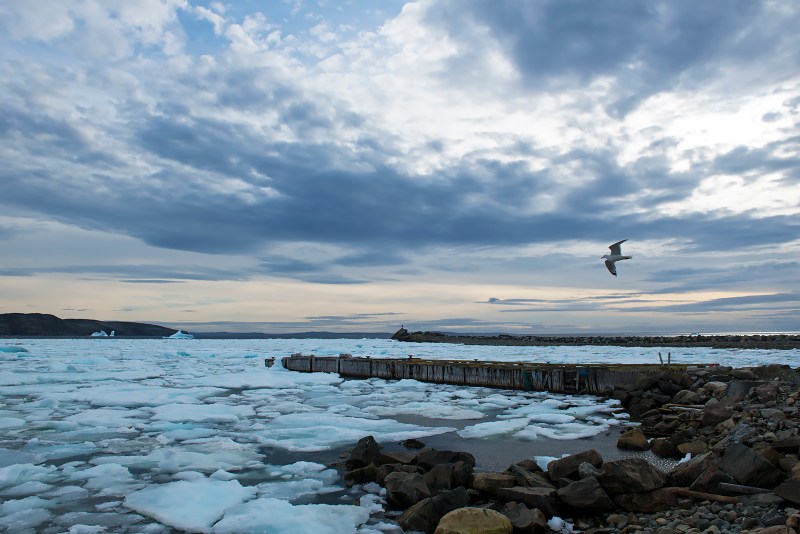 20170617 Bonavista more ice