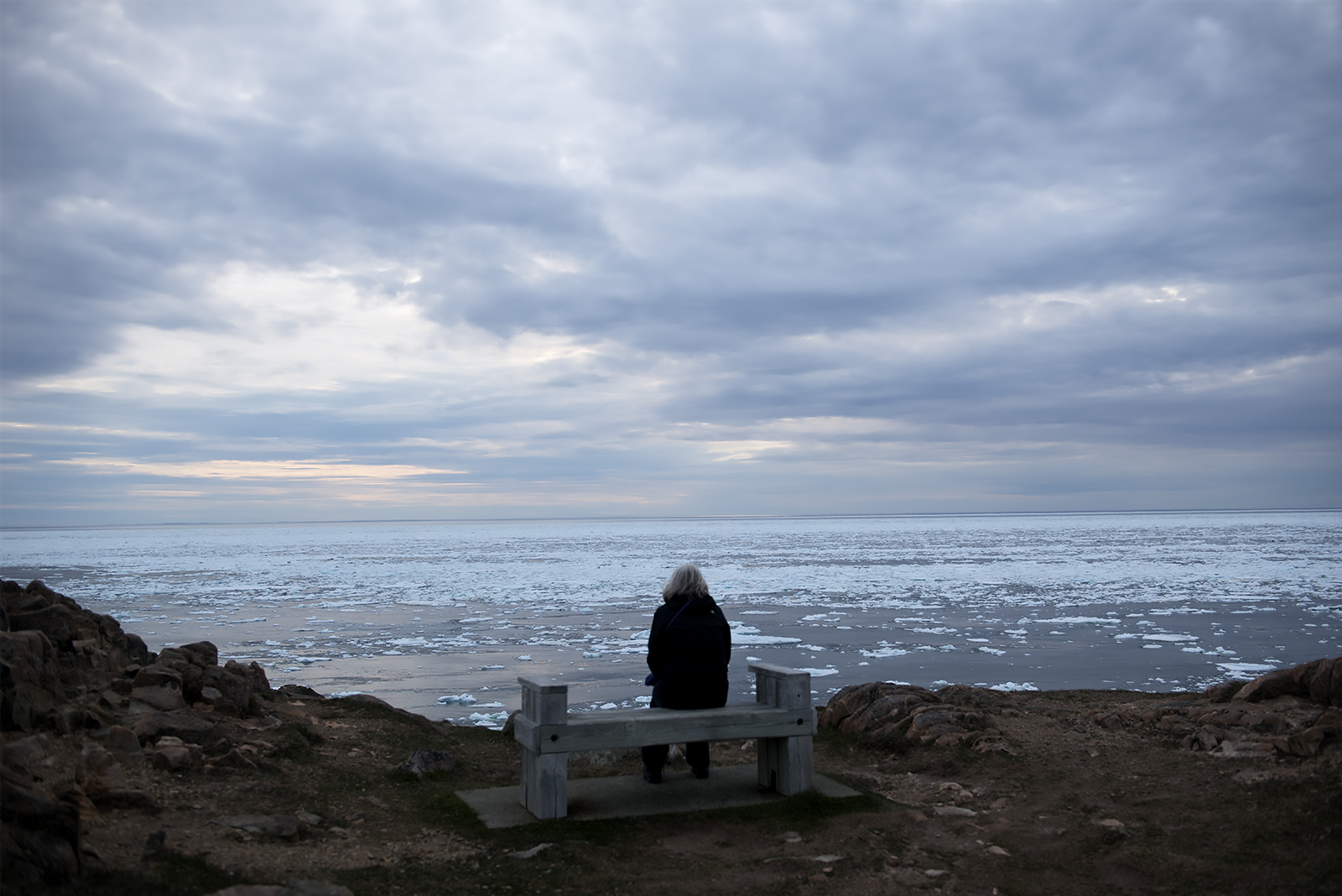 20170617 J waiting for puffins