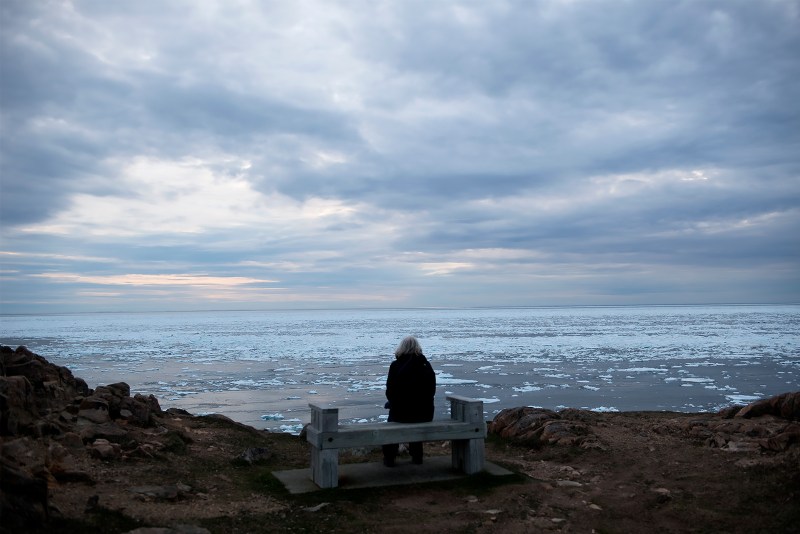 20170617 J waiting for puffins