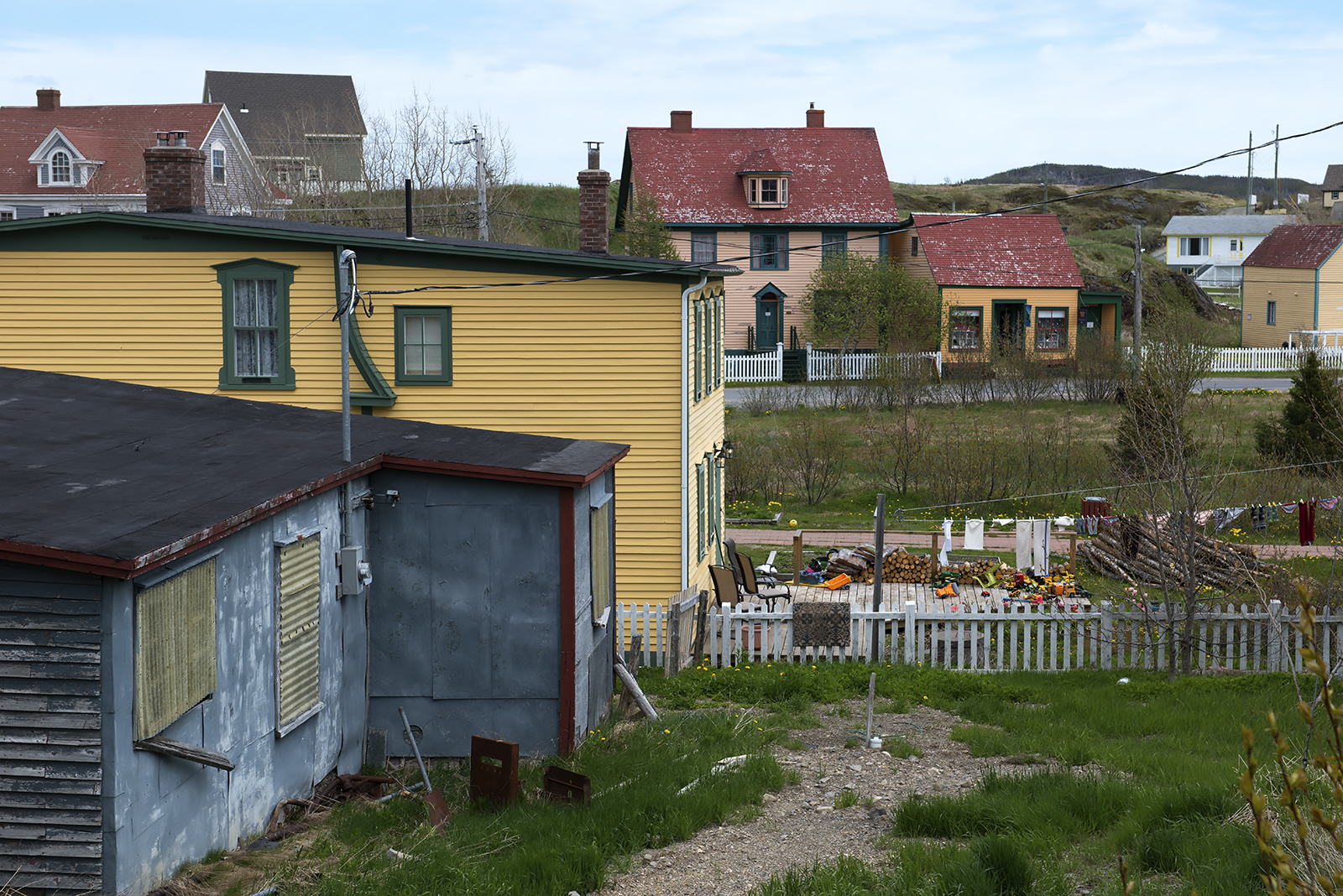 20170617 Trinity backyard a