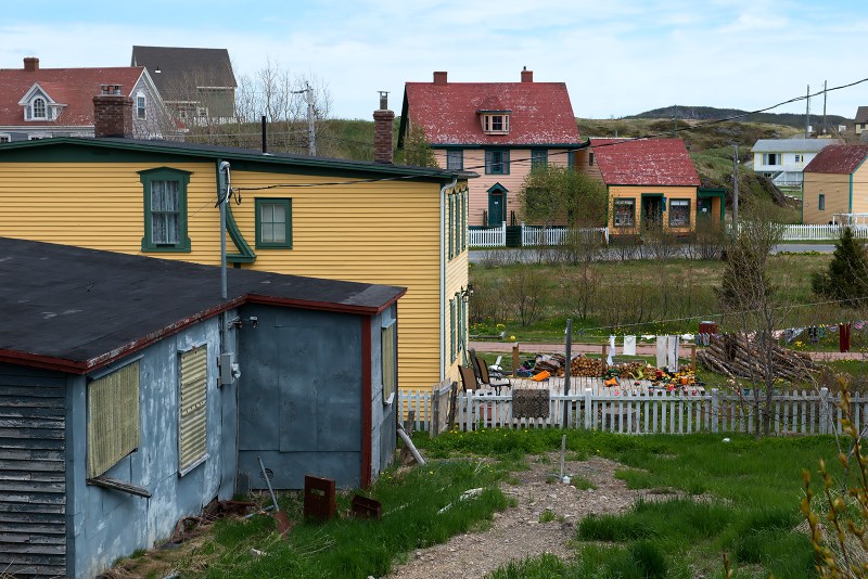 20170617 Trinity backyard a