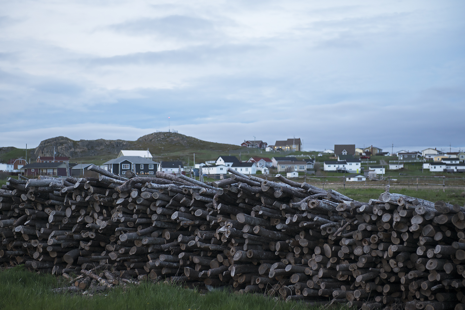 20170618 Bvista Firewood