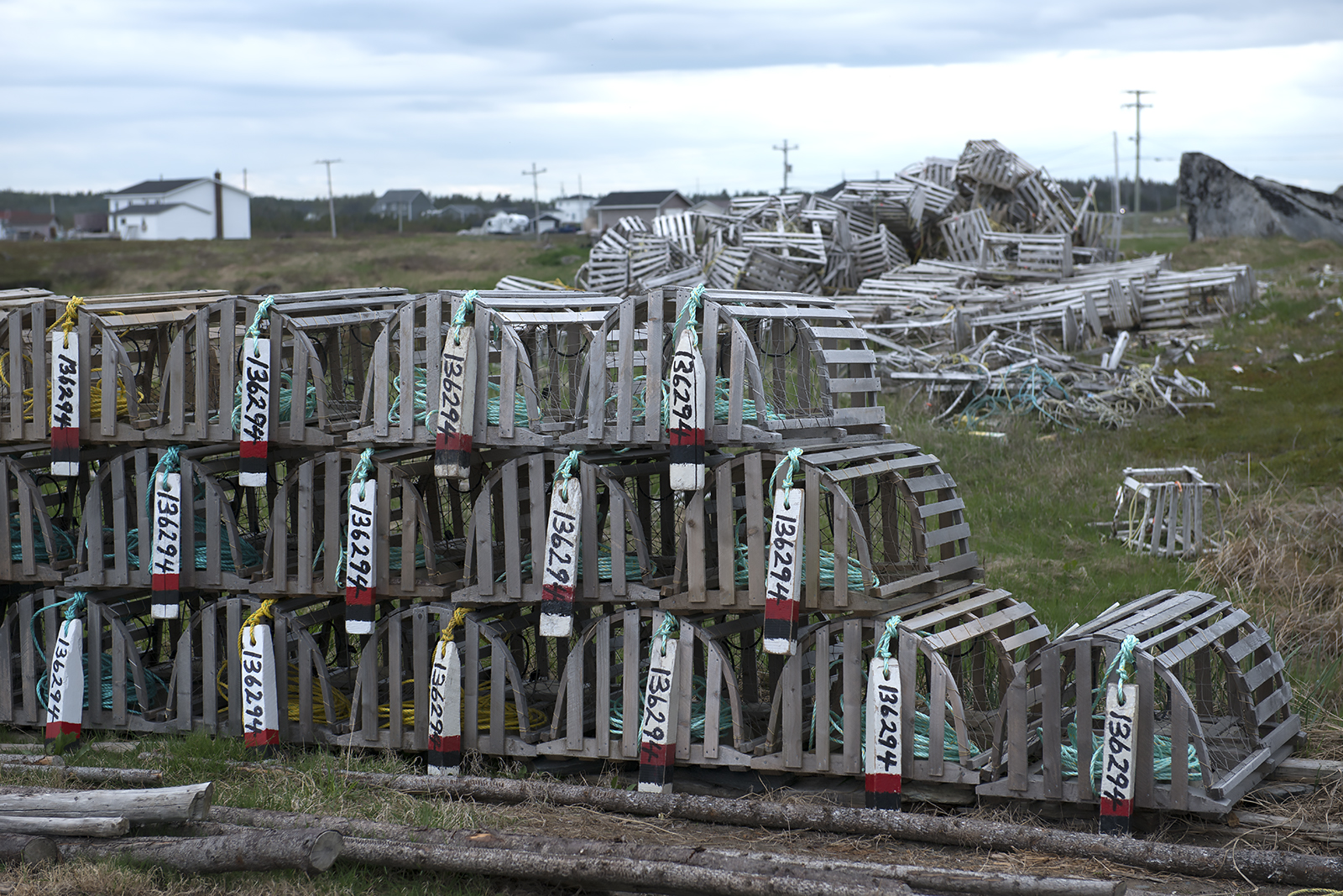 20170619 Musgrave traps