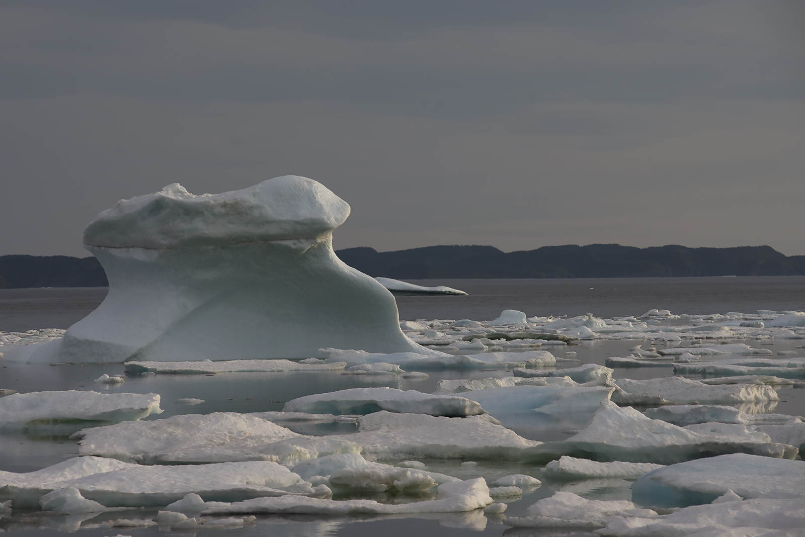 20170621 Twillingage Dusk Ice