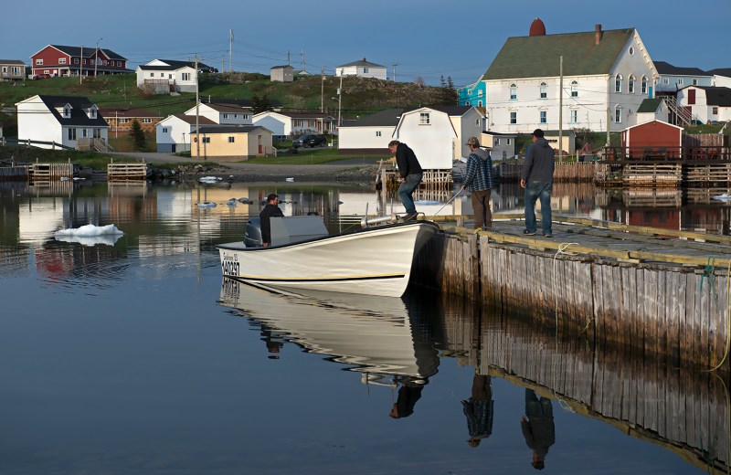 20170621 Twillingate byes