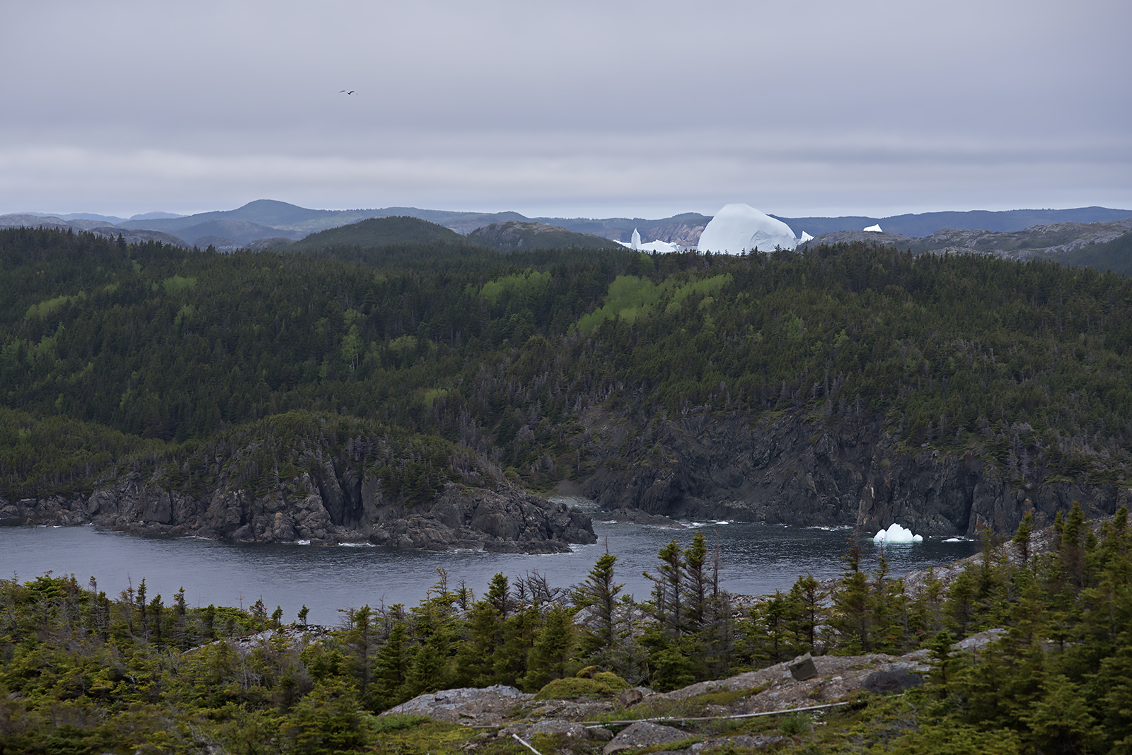 20170622 Unreachable Big Berg
